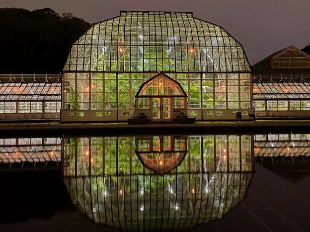 東山動植物園春まつり：植物園温室のライトアップ - 10