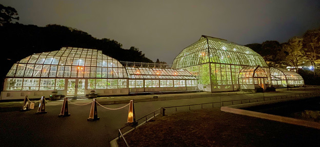 東山動植物園春まつり：植物園温室のライトアップ - 11