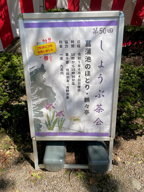 鶴舞公園 2023 No - 21：菖蒲池で行われてた「しょうぶ茶会」