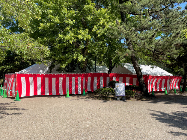 鶴舞公園 2023 No - 20：菖蒲池で行われてた「しょうぶ茶会」