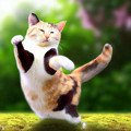 写真: 踊る猫 - 1