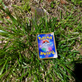 写真: 公園に落ちてたポケモンカード - 3