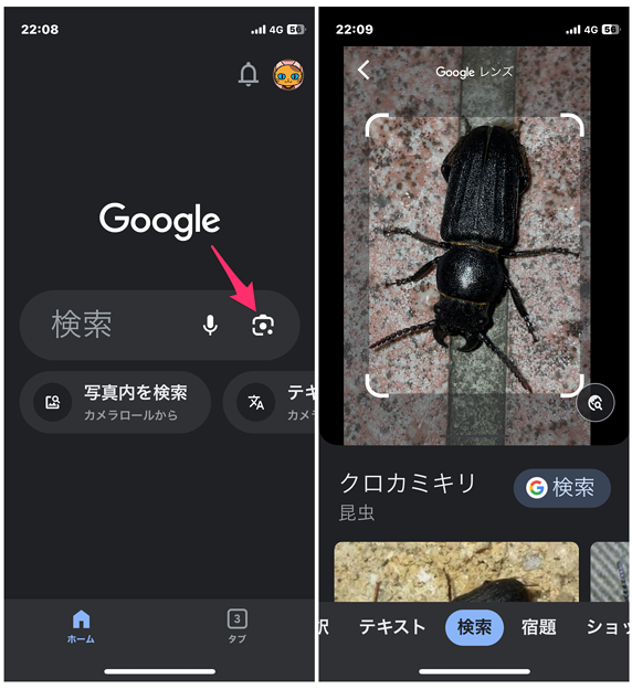 Googleアプリの「Googleレンズ」機能で昆虫を判別 - 4
