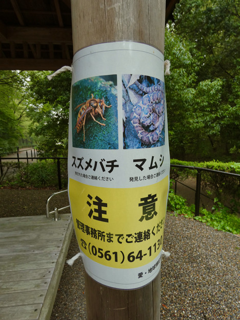 愛・地球博記念公園内のスズメバチとマムシの注意書き - 1