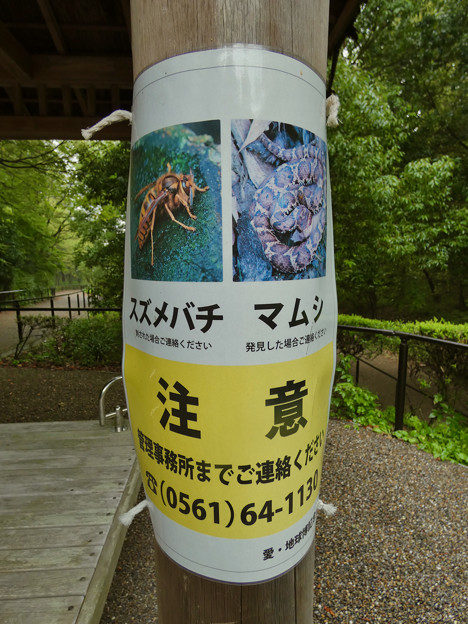 愛・地球博記念公園内のスズメバチとマムシの注意書き - 2