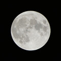 Photos: 満月 - 1