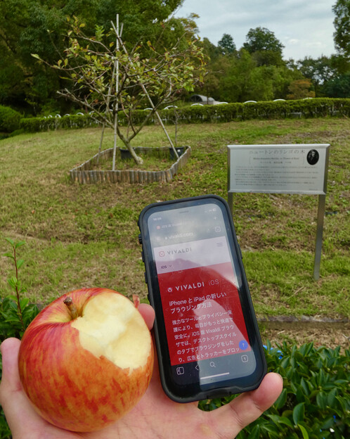 写真: ニュートンのリンゴの木の前でかじったリンゴとiOS版Vivaldi - 2
