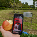 写真: ニュートンのリンゴの木の前でかじったリンゴとiOS版Vivaldi - 4