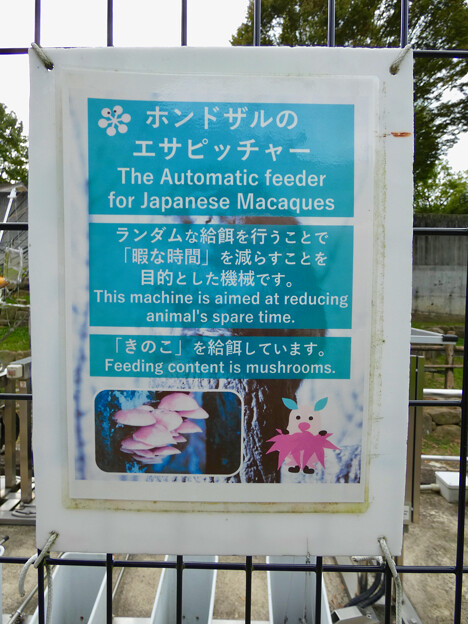 写真: 東山動植物園ニホンザル舎に設置されてる餌を投げ込む機械「エサピッチャー」- 3