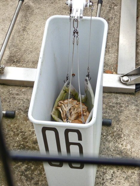 写真: 東山動植物園ニホンザル舎に設置されてる餌を投げ込む機械「エサピッチャー」- 8