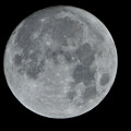 写真: 満月 - 1