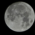 写真: 満月 - 2