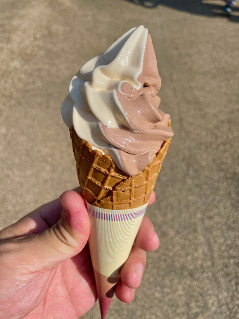 東山動植物園のミックスソフトクリーム