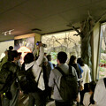 写真: 東山動植物園 新ジャガー舎 - 20