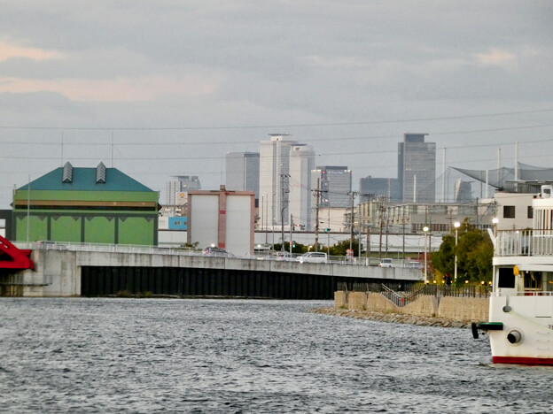写真: 名古屋港水族館裏から見た名駅ビル群 - 1