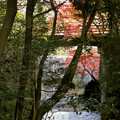 定光寺川の橋越しに見た定光寺公園の紅葉