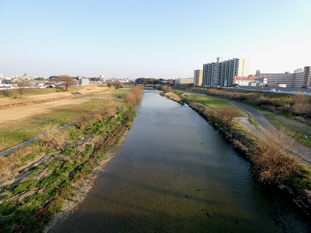 写真: 天神橋から見た矢田川 - 2