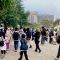 鶴舞公園 桜まつり2024 - 6