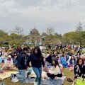 鶴舞公園 桜まつり2024 - 11