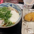 写真: 丸亀製麺のうどんと天ぷらとひとくち醤油うどん