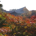 写真: 紅葉の東福寺と園光寺