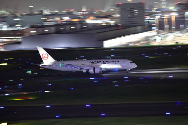 JAL ボーイング787