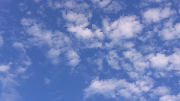青空とうろこ雲