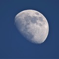 Photos: 蒼空の月