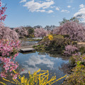 桜庭園　２
