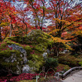 京の秋　２