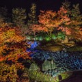 京の秋　４　ライトアップ