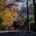 Photos: 奈良の秋