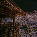 写真: お寺と桜　４