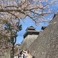 Photos: この道は、松山城に続く道。