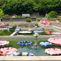 写真: 二ノ丸史跡庭園