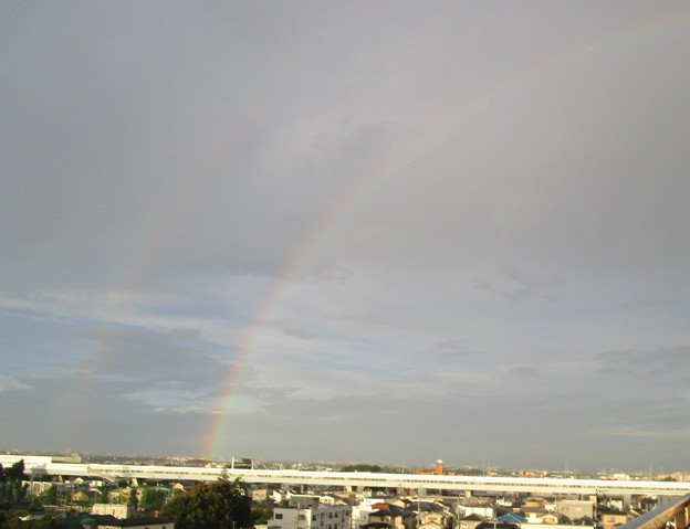 写真: 早朝の虹は西に見えた2