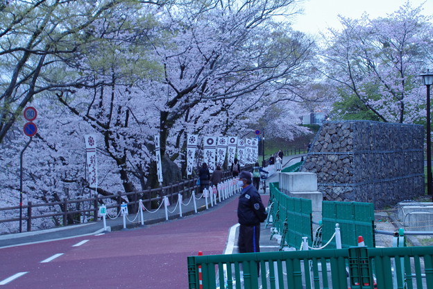 写真: 熊本城復興はまだまだ・・・