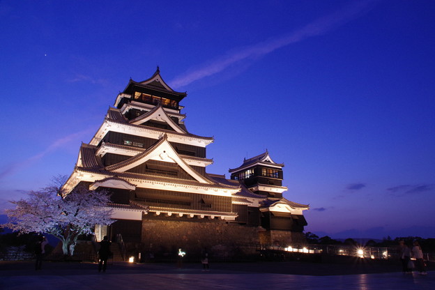 春の夜の熊本城