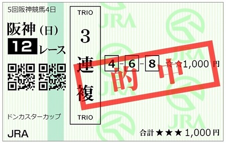2021.11.14 阪神12Ｒﾄﾞﾝｶｽﾀｰｶｯﾌﾟ-02