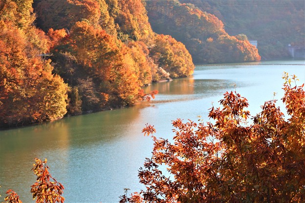 写真: 箕輪ダム湖