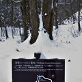 写真: 冬栃木 (78)