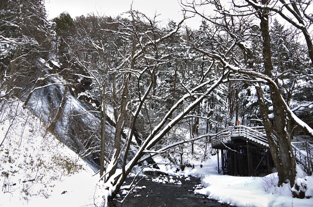 写真: 冬栃木 (79)