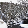 写真: 冬栃木 (79)