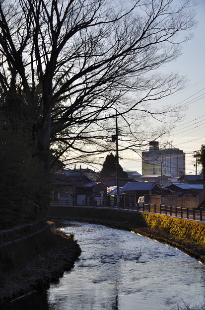 写真: 冬栃木 (121)