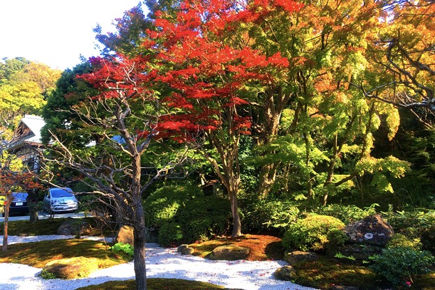写真: 浄妙寺庭園 #湘南 #鎌倉 #寺 #浄妙寺 #紅葉 #kamakura #temple #autumnleaves