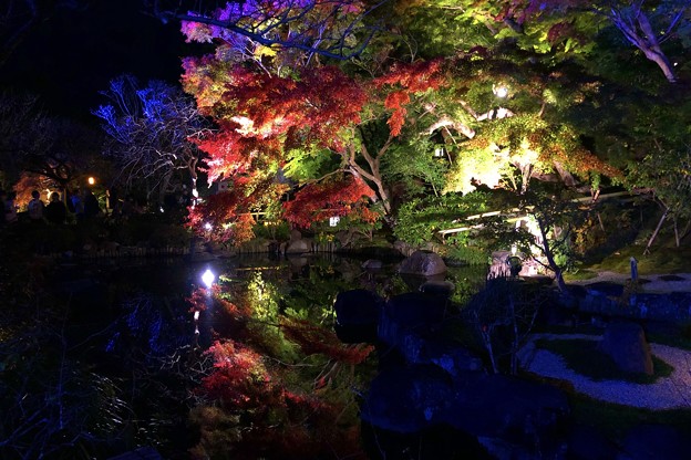 写真: 長谷寺前庭園のライトアップ #鎌倉 #湘南 #寺 #長谷寺 #紅葉 #autumnleaves #temple #kamakura