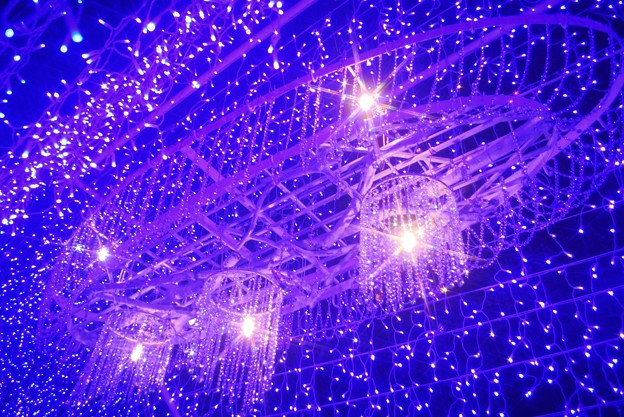 キラキラのイルミネーショントンネル #湘南 #江ノ島 #enoshima #イルミネーション #illumination #夜景 #nightview