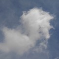 写真: 薄い雲と厚い雲（2月9日）