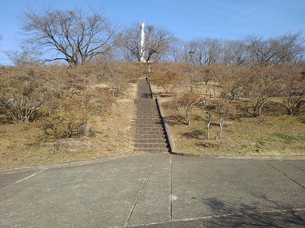 写真: 長峰公園の丘の道と上り階段（2月14日）