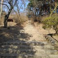 写真: 烏ヶ森公園の丘の階段（2月21日）